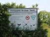 Merching: Naherholungsgebiet Mandichosee